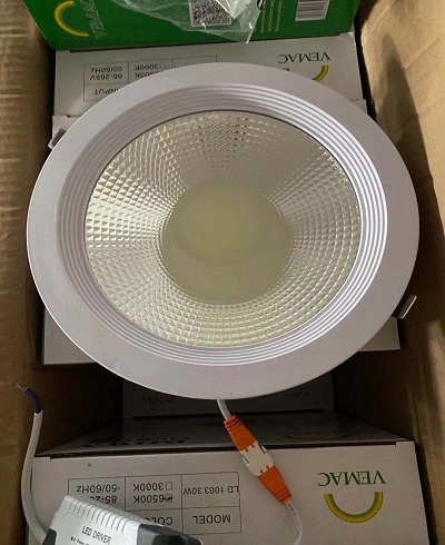 LD1003 LED downlight